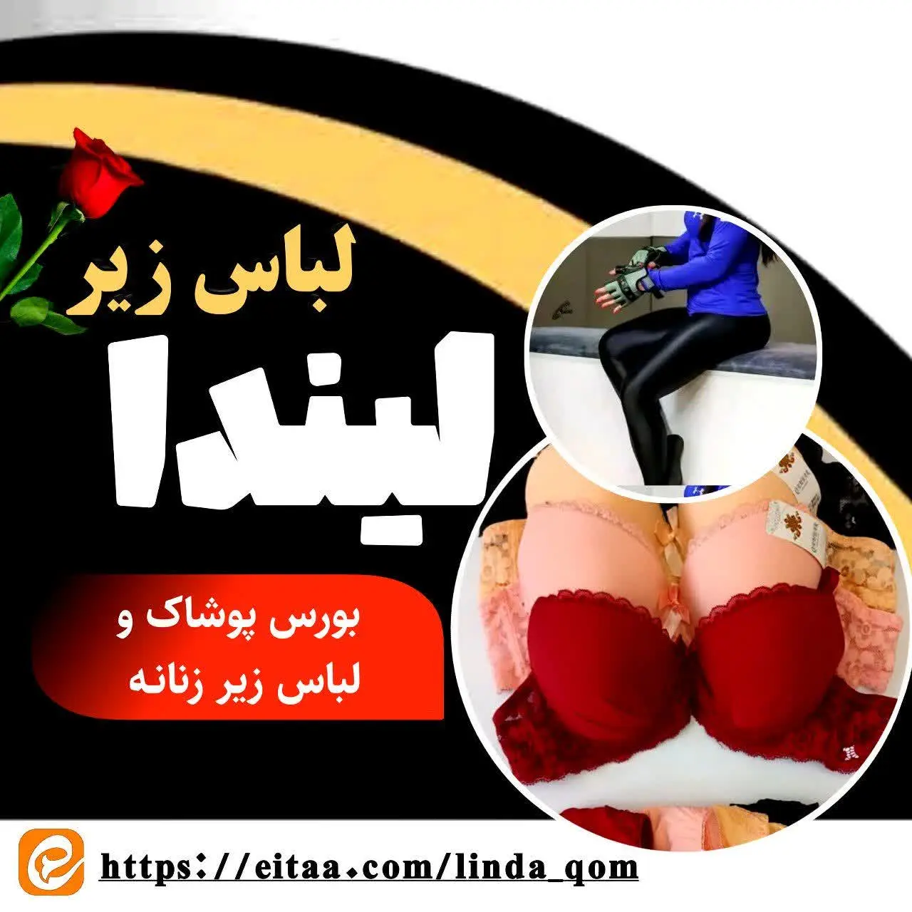 🌹🌹🌹🌹🌹🌹🌹🌹
