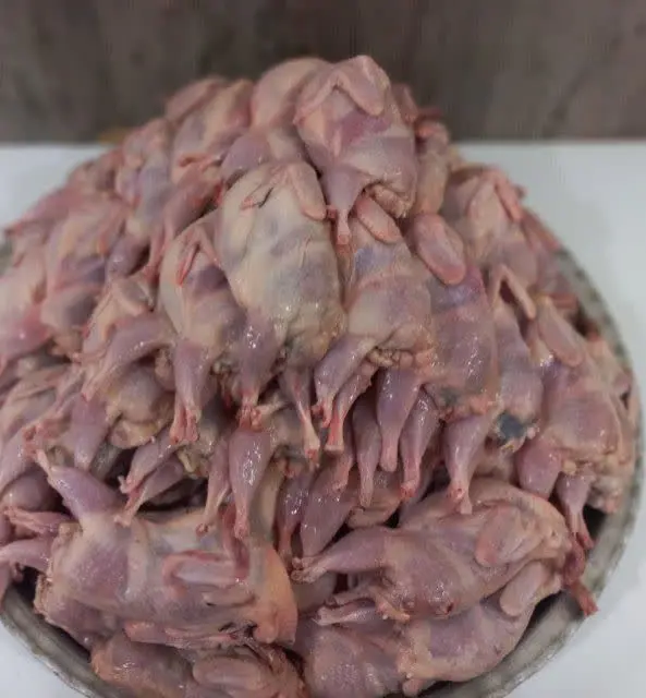 بلدرچین‌های پرخاصیت …
