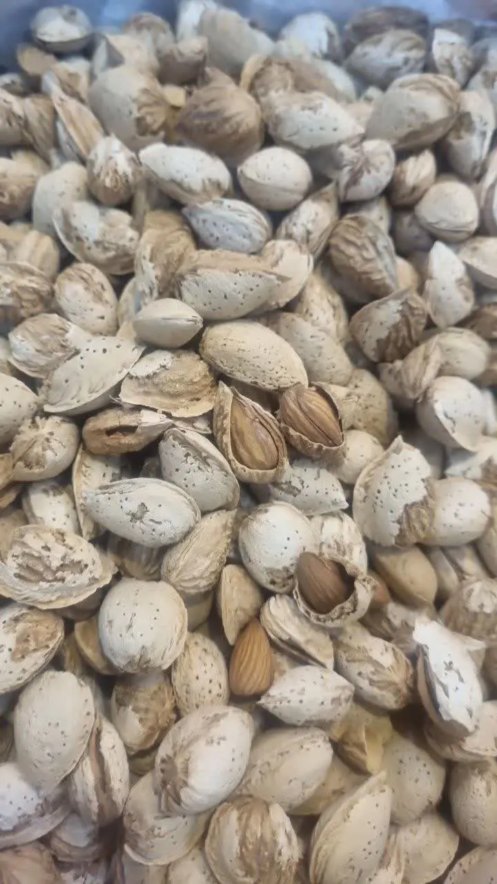 بادام کاغذی ایرانی اعلا
