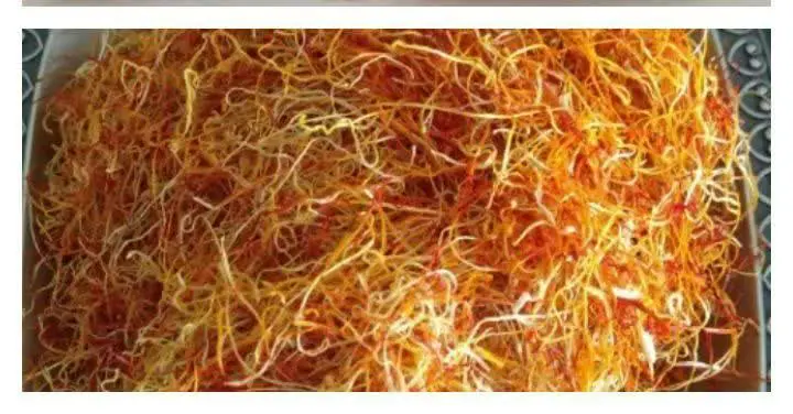 ✅ شارژ ریشه زعفران
