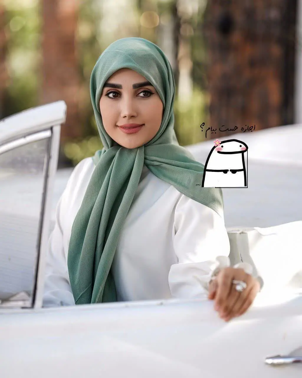 🍁🍁🍁🍁🍂🍂🍂🍂
