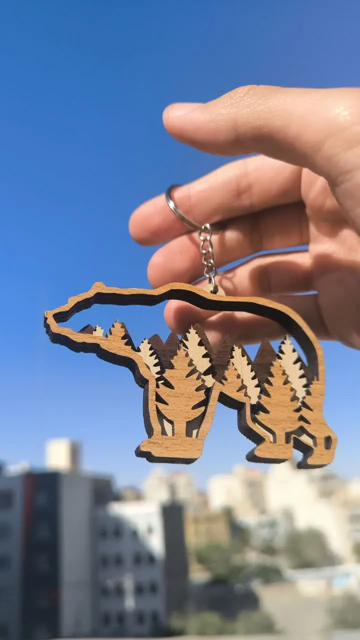 آویز های خودرو 🪴🚘