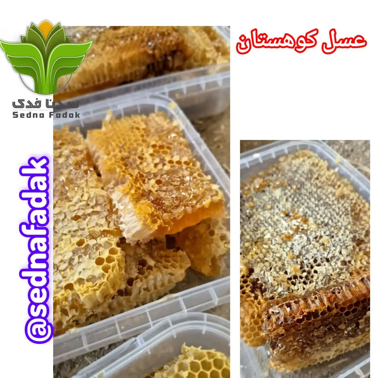 🍯عسل کوهستان وحشی کردستان 🍯
