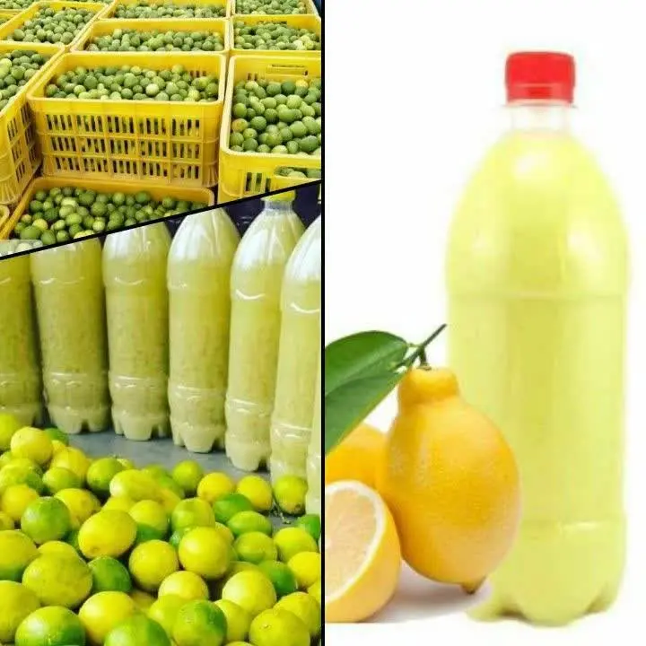 🍋 شارژ مجدد آب لیمو طبیعی سادات
