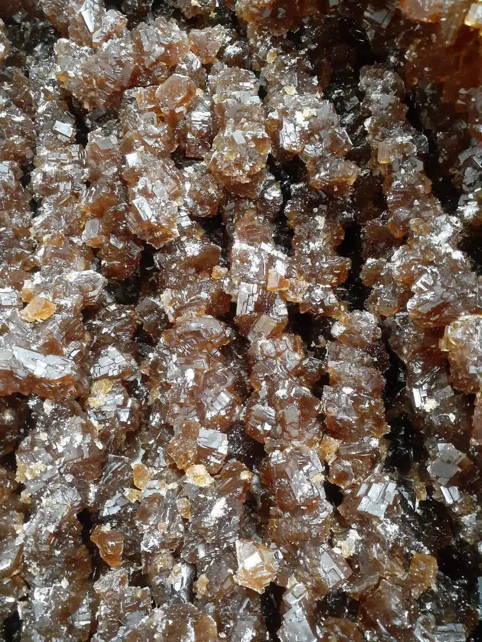 🟤نبات شاخه پایه از شکر قهوه...