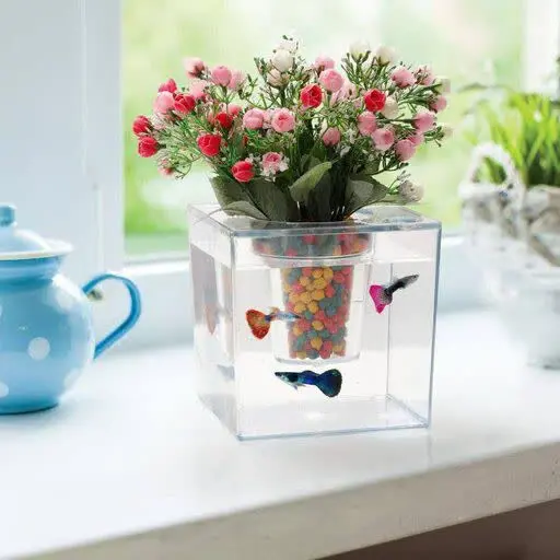 گلدان آکواریومی
