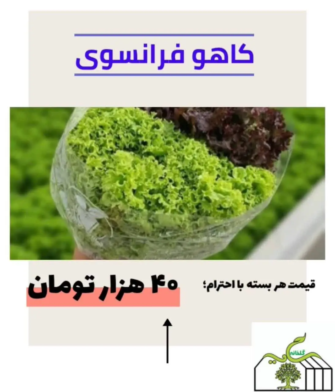 📞همراه: ۰۹۱۳۱۰۱۰۲۸۳ مدینه
