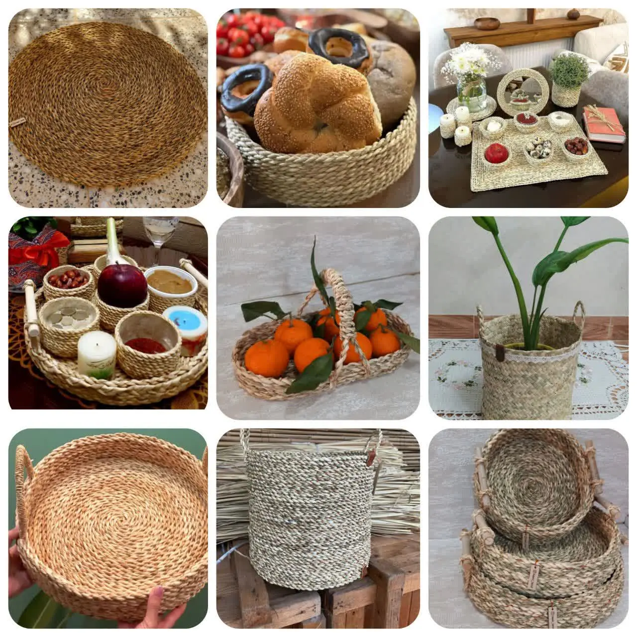 گیلان و مازندران به خونه هاتون بیارید😍
