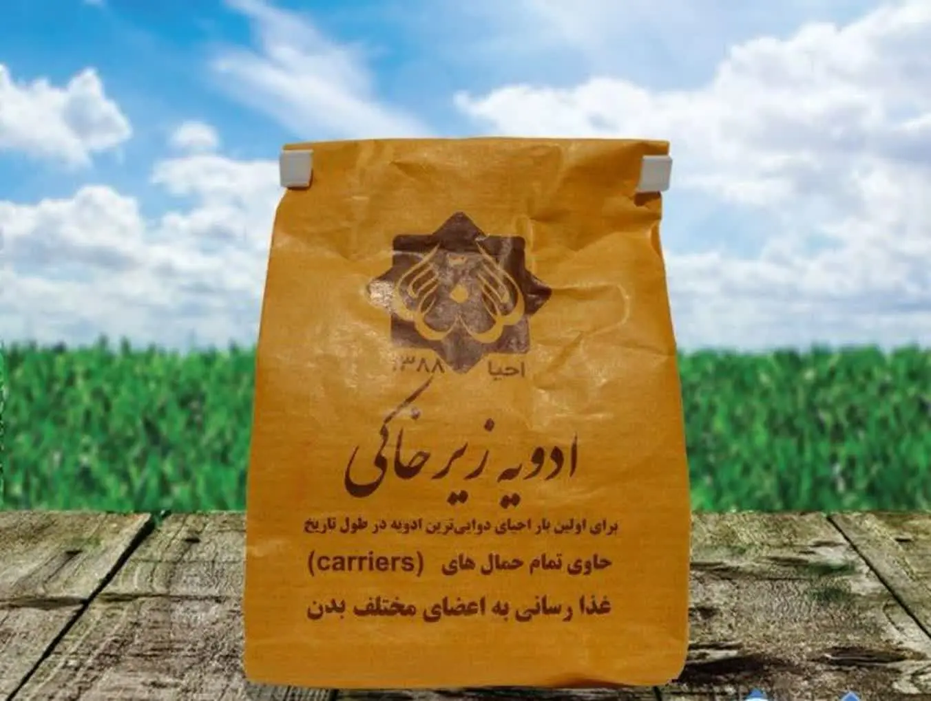 ☘️ادویه زیر خاکی (ادویه اجد...