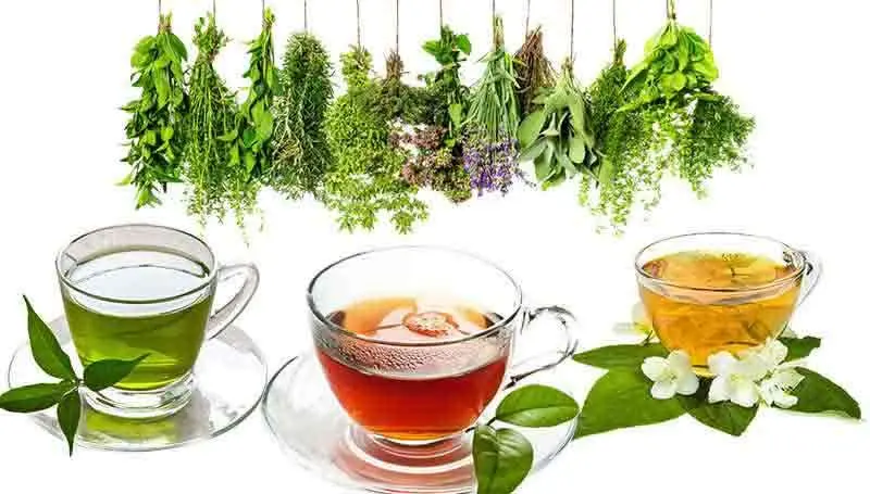 ♦️دمنوشهای گیاهی ۵۰ گرمی
