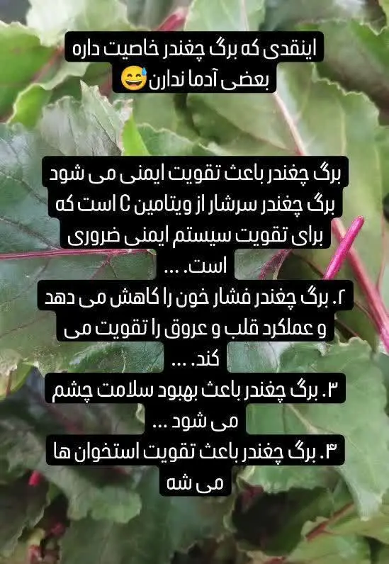 #قرص_برگ_چغندر
