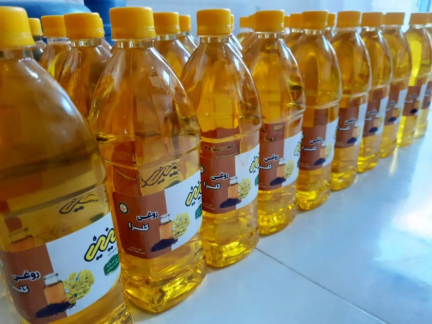 روغن کلزا محلی 🌼
