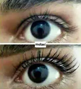 قطعا مژه‌های زیبا و بلند ارزوی همه خانوماست🥰
