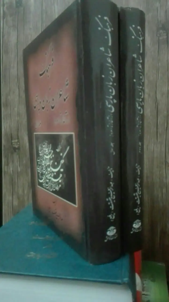 فرهنگ شاعران زبان پارسی
