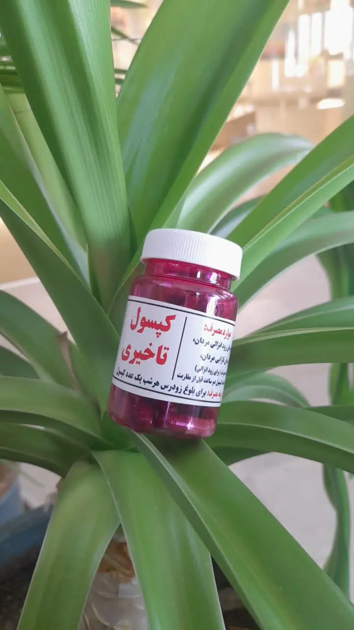 اینم تازه از تنور دراومده
