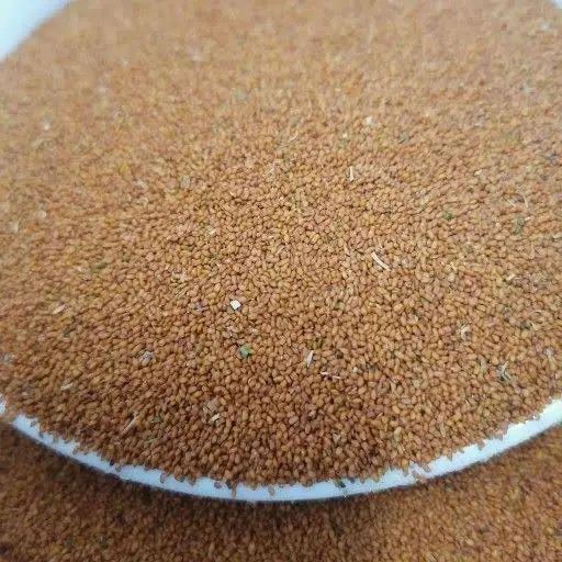 ویژه ماه مبارک رمضان🌙🌙🌙🌙