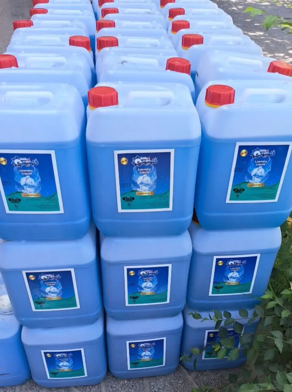  با ماهمیشه ارزانتر 
