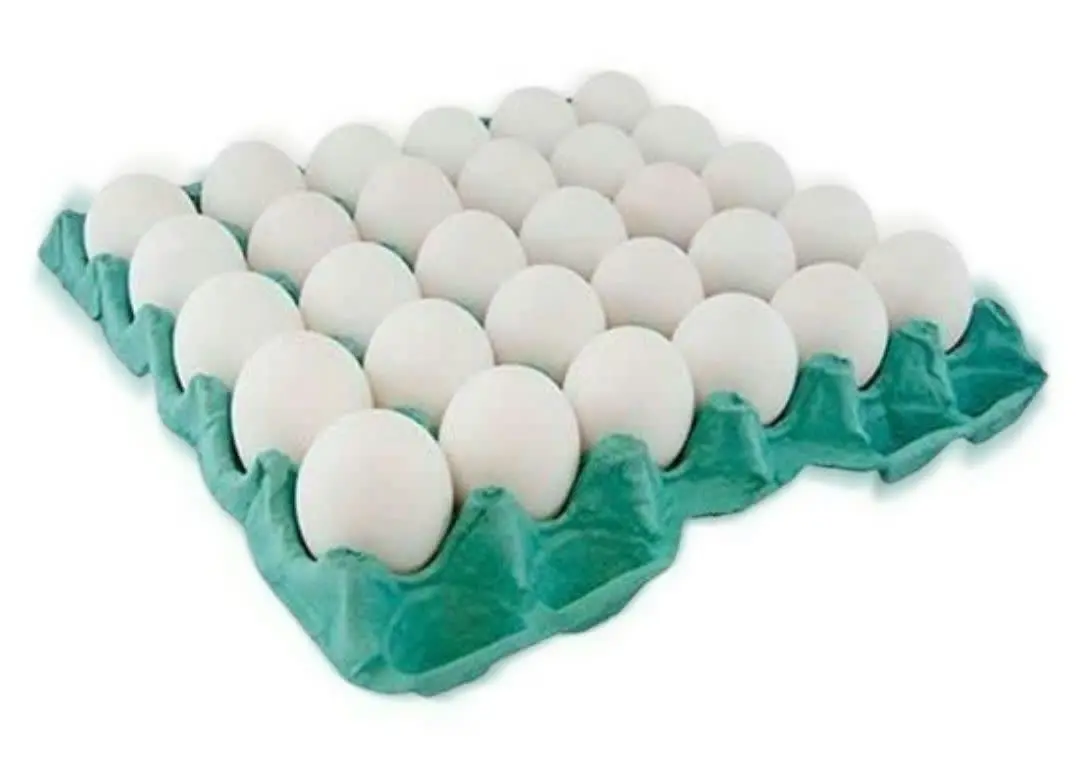 آدرس: میبد میدان جوان ابتدای خیابان درویشی
