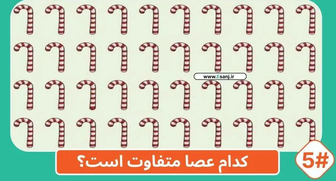 کدام عصا متفاوت است؟؟؟ 
