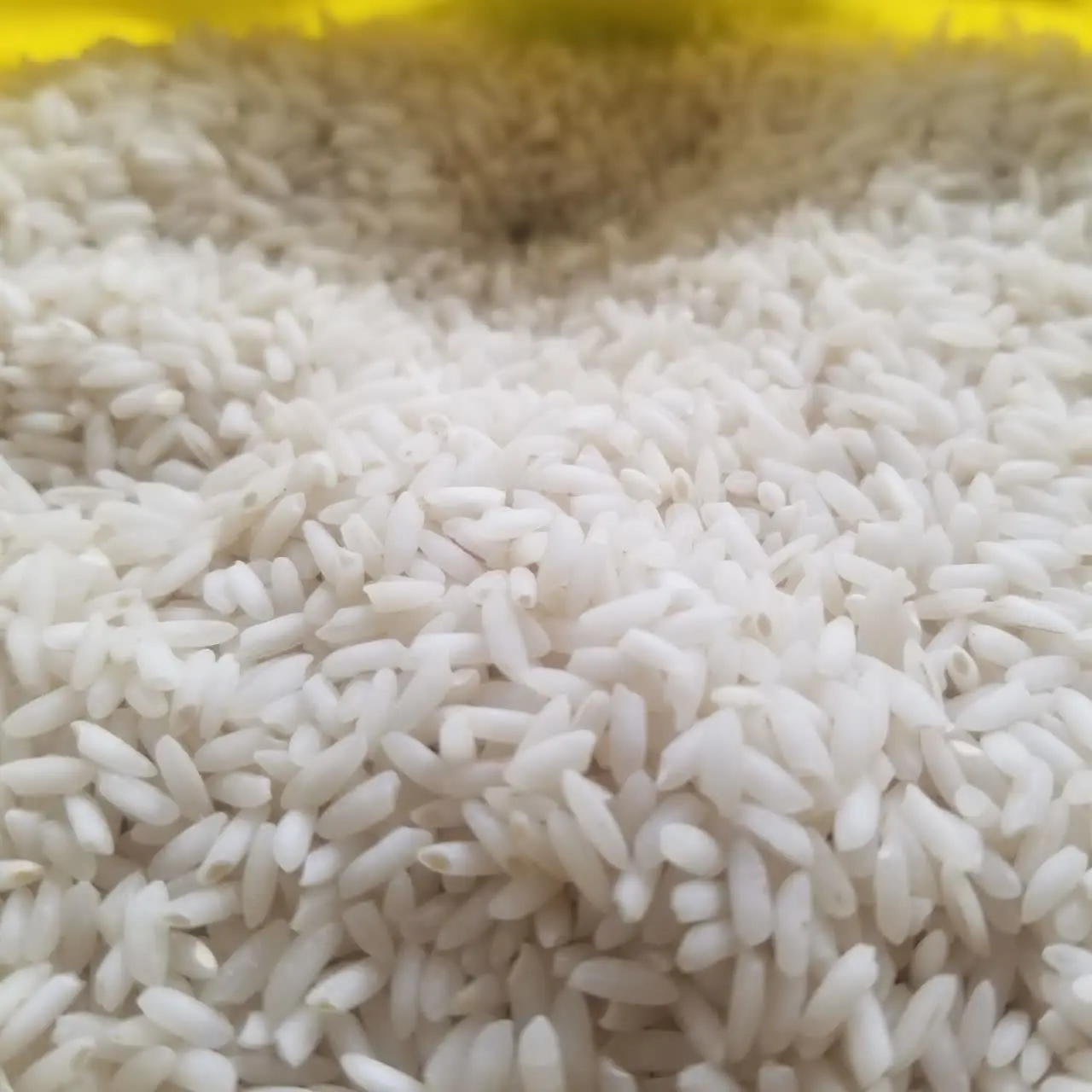 برنج عنبربو
