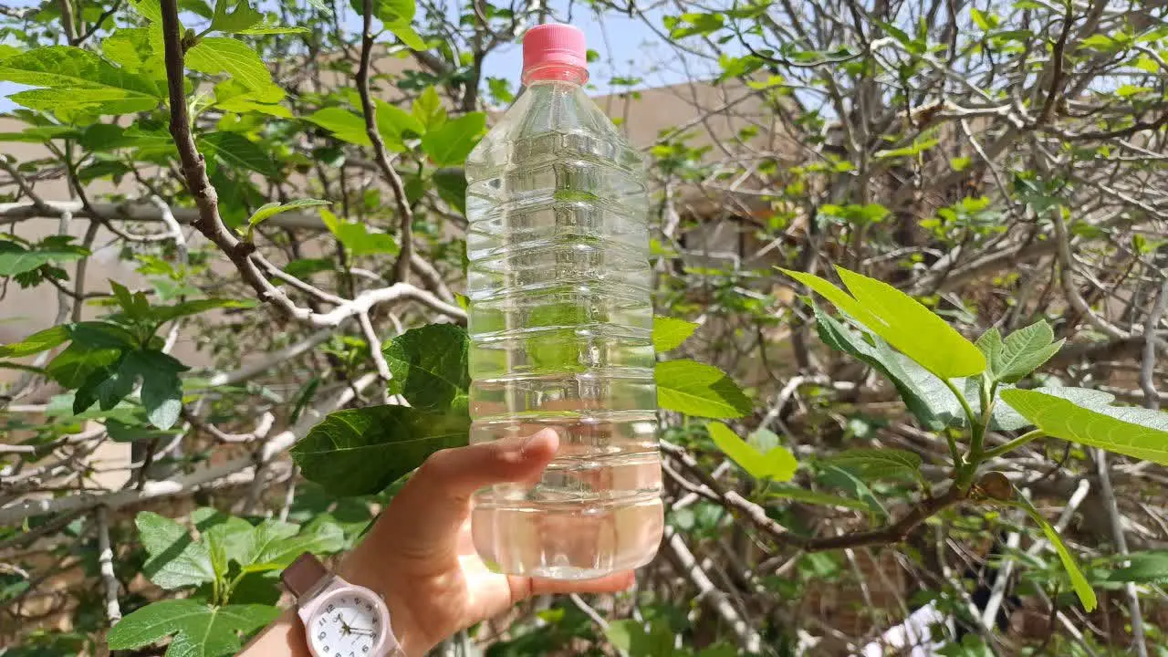 گلاب ۳۰ کیلو با کیفیتی بی نظیر و درجه یک ….. 
