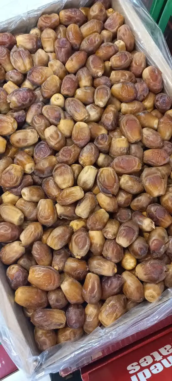 🌴زاهدی سوپر آجیلی 🌴
