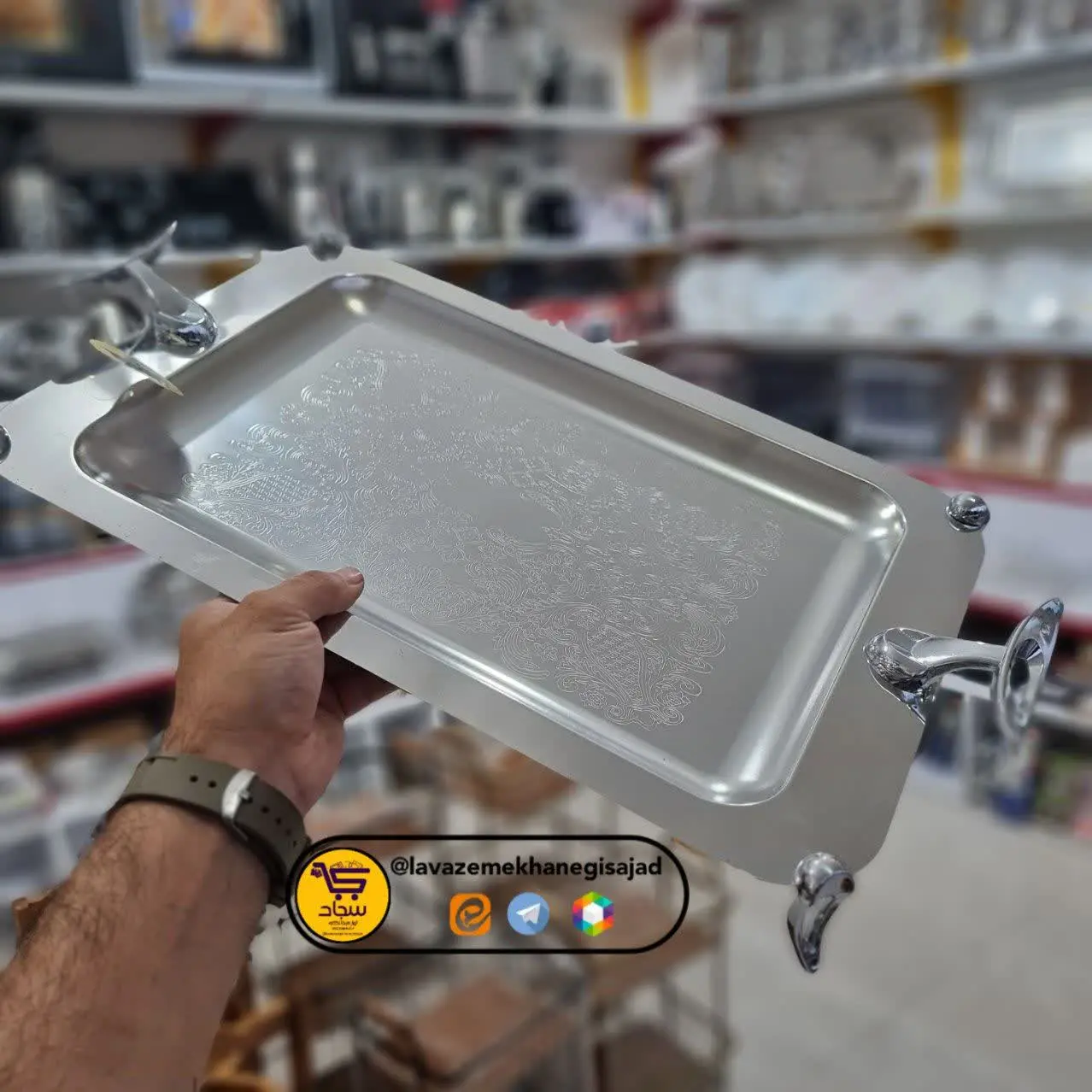 🦈مدل پایدار دسته کوسه
