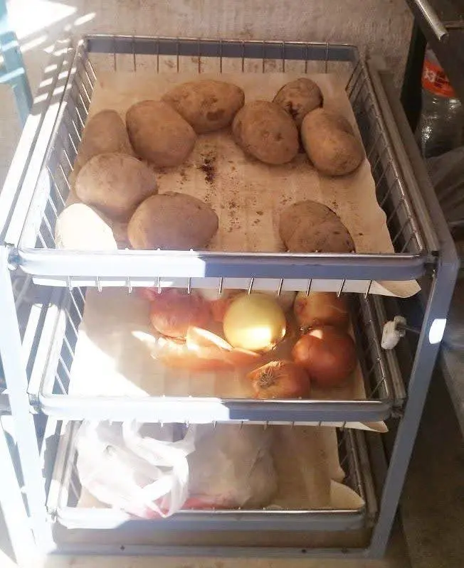 جا پیاز سیب زمینی 
