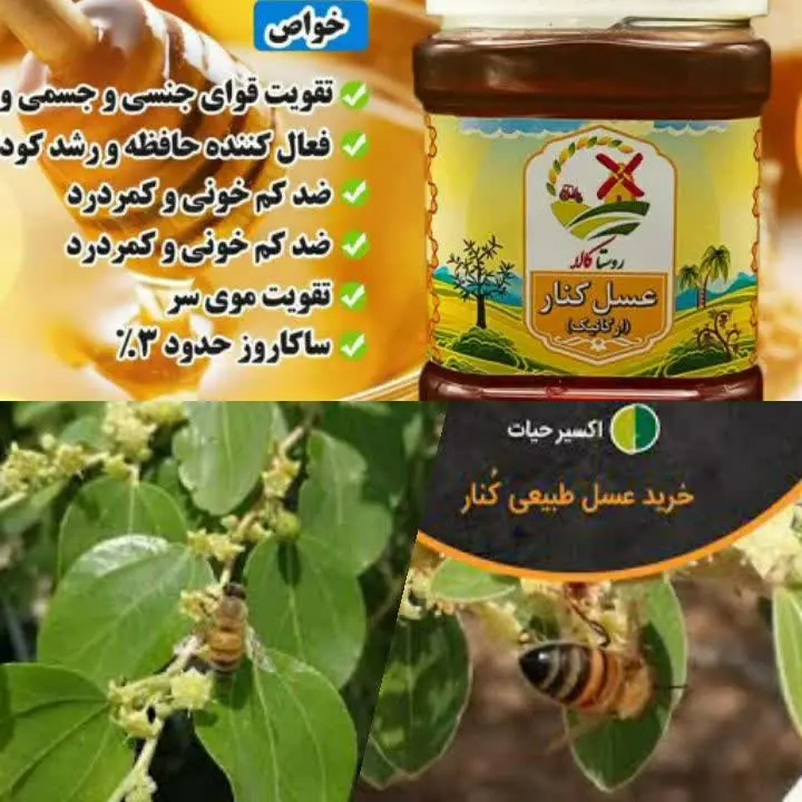 🍯 شارژ ‌عسل طبیعی کنار (سدر) 
