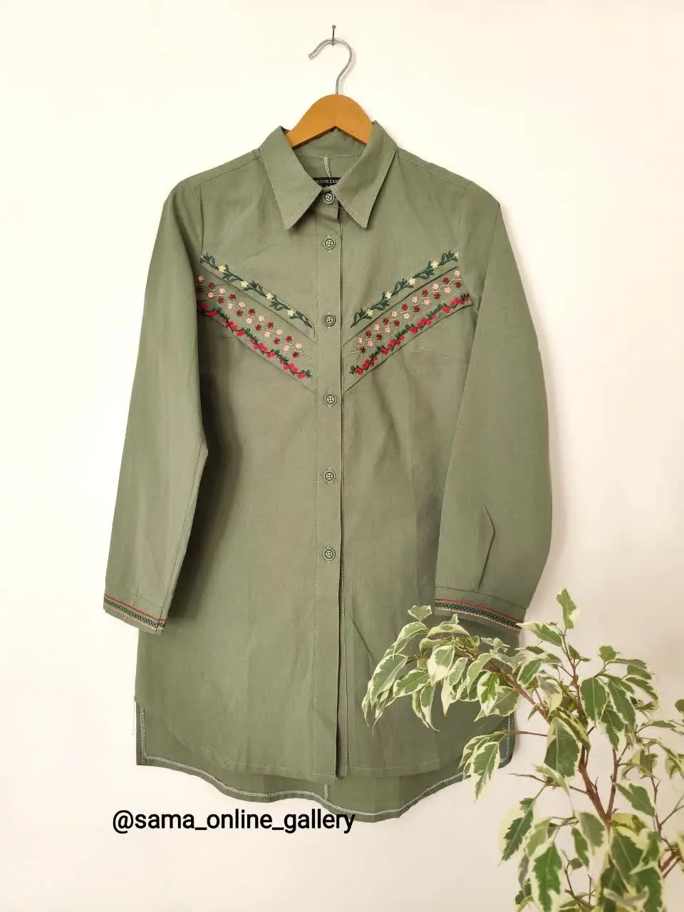 🌿 به زیبایی برگ‌های درختان زیتون 
