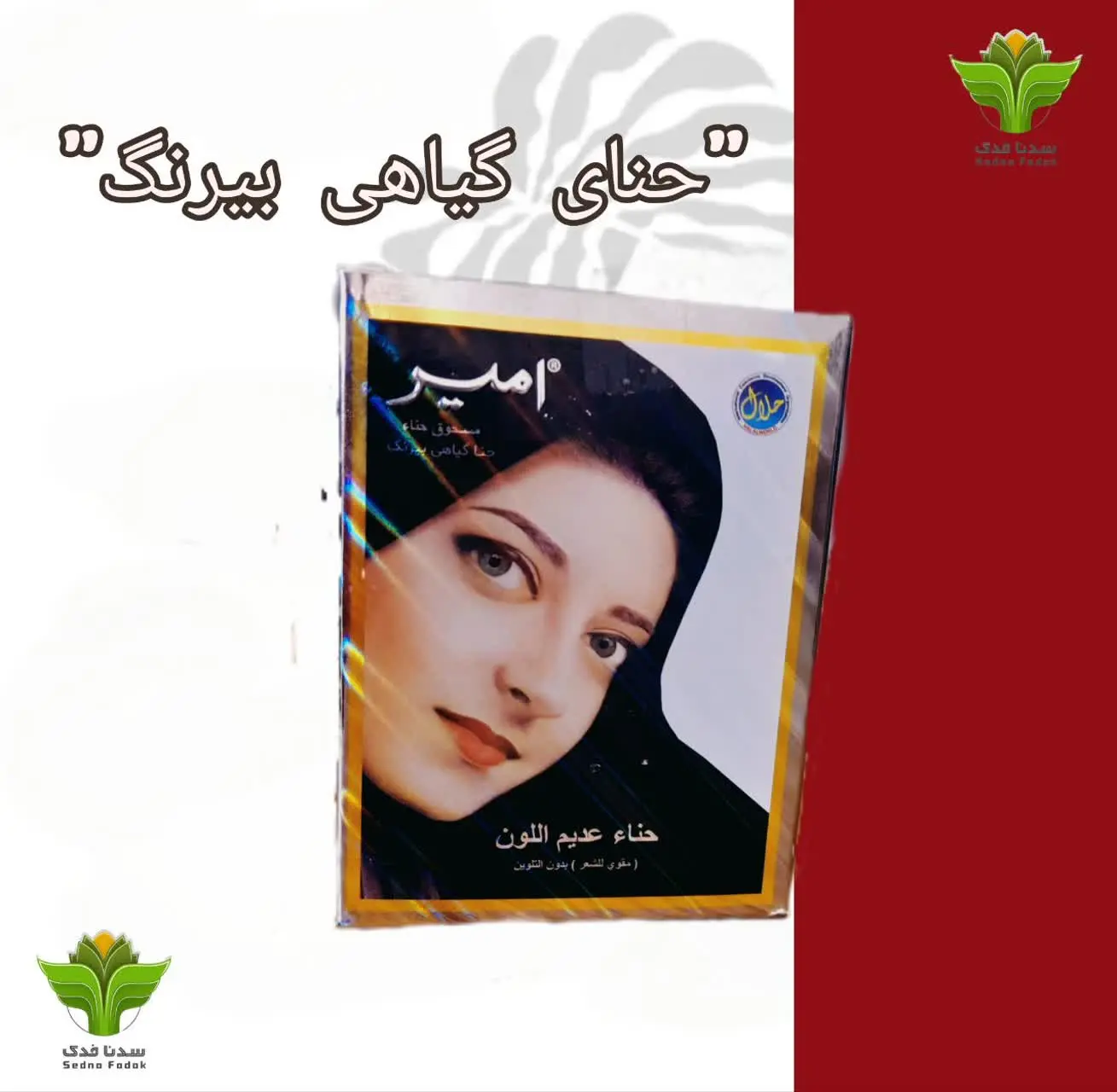 🍃حنای گیاهی بیرنگ امیر ایرا...