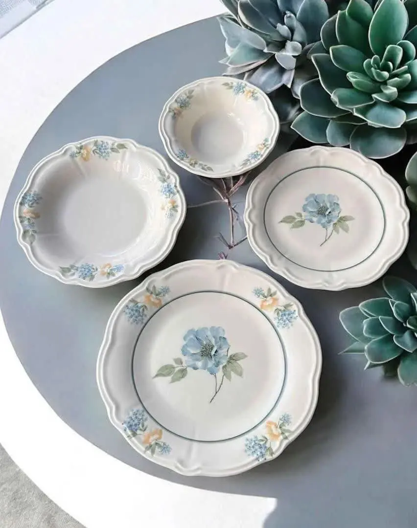 ▫️ ۶ عدد بشقاب سرو ۲۵ سانتی