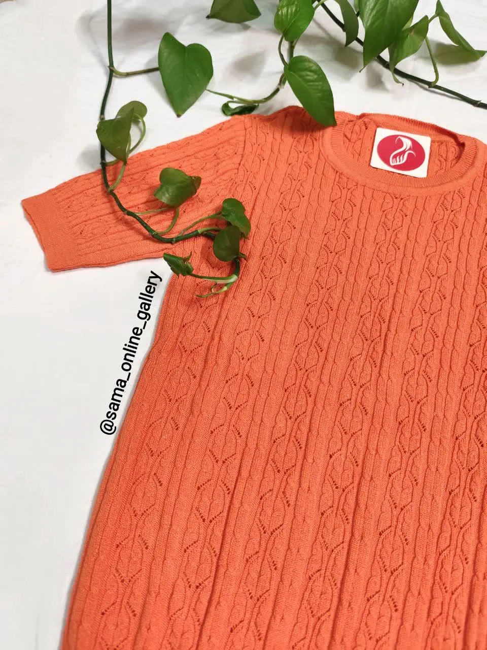 🍁🍁🍁🍁🍁🍁🍁🍁🍁🍁
