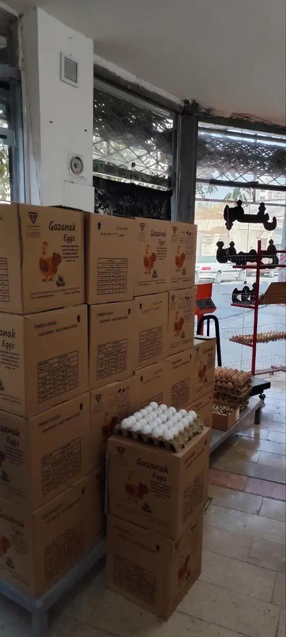 تخم مرغ سفید تازه رسید!