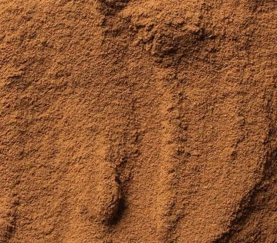 دارچین یکی از مواد غذایی و...