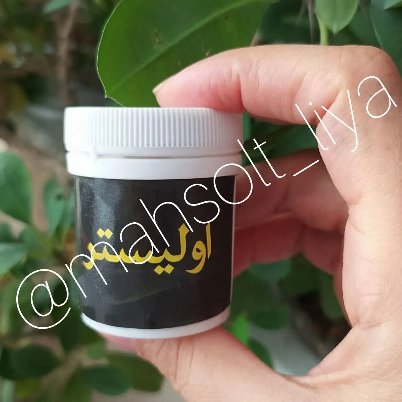 #اولیستر 🧡
