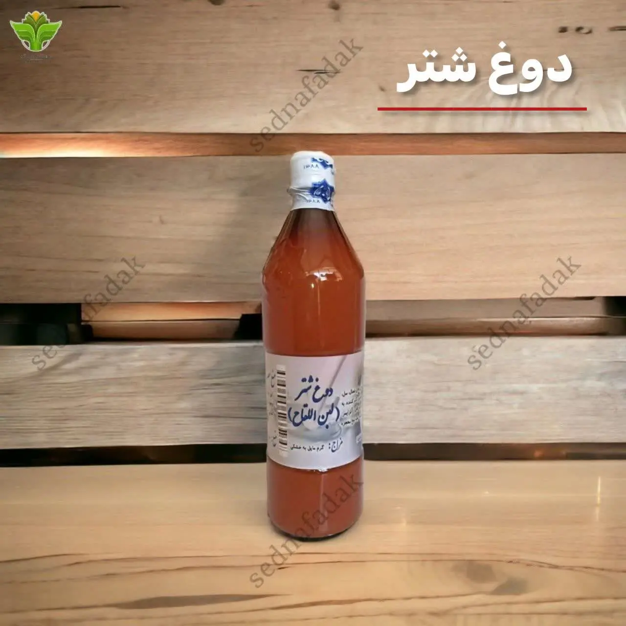 💫دوغ شتر طبیعی
