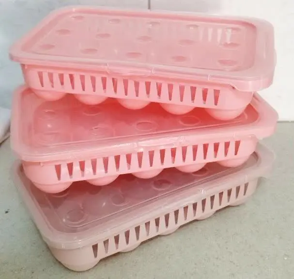 جا تخم مرغی درب دار