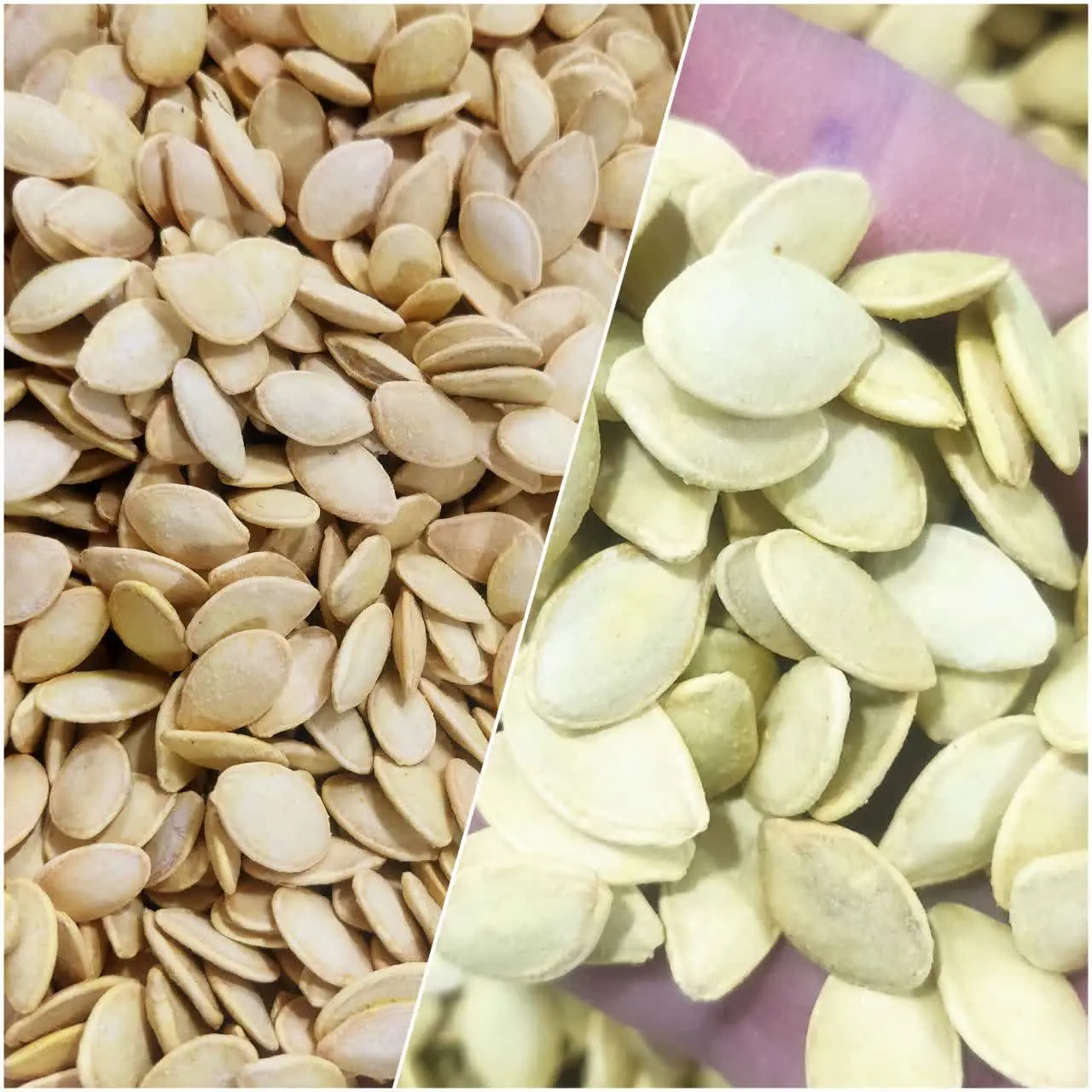 🎃تخمه کدوی گوشتی 
