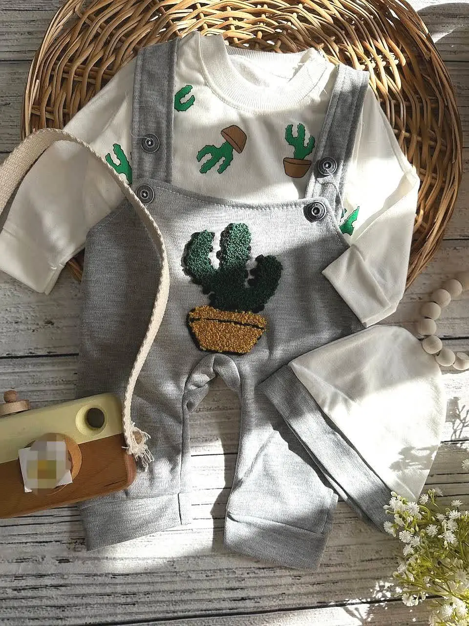 ۳ تیکه کاکتوس برجسته
