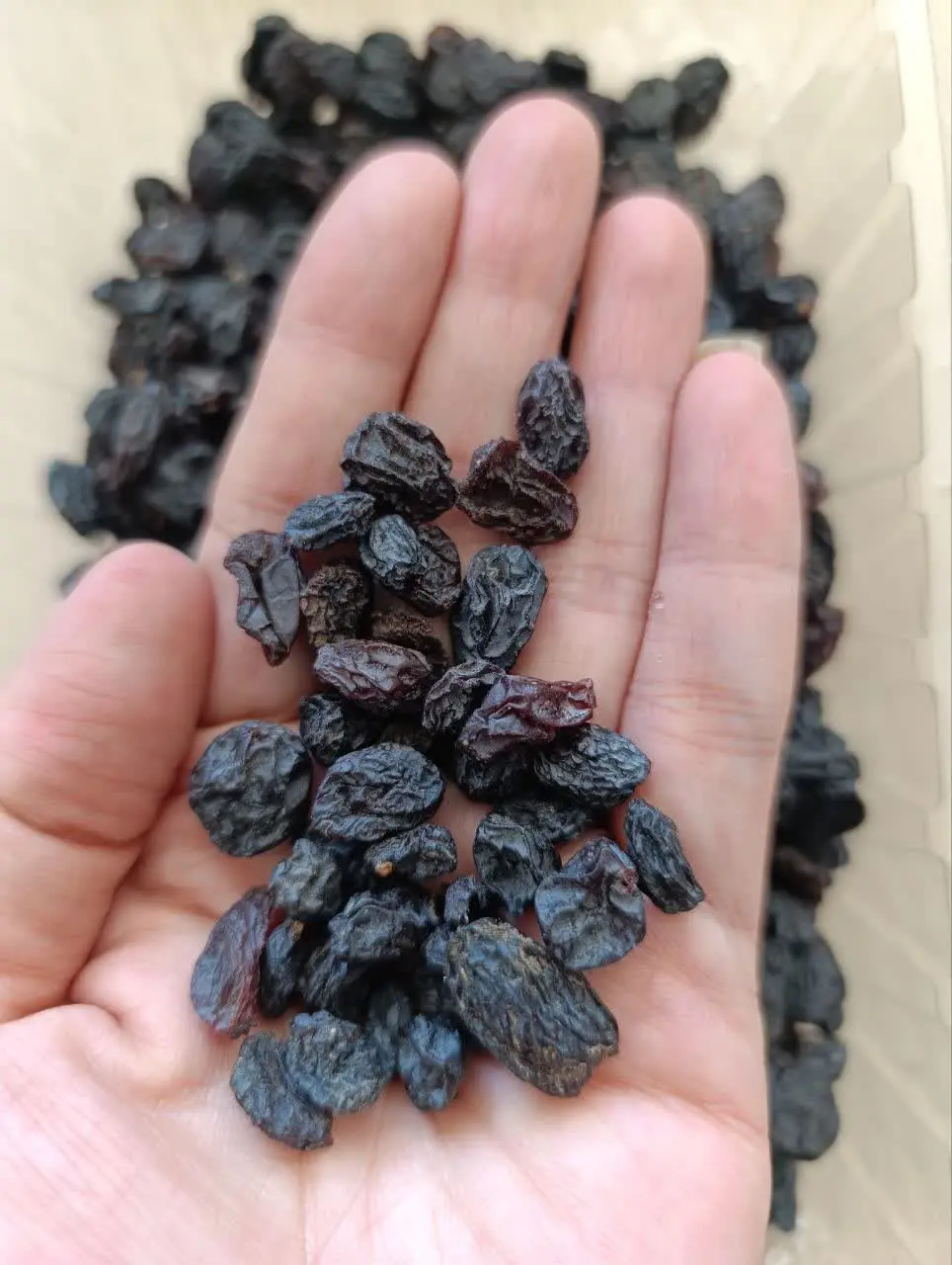 #مویز_سیاه 🍇
