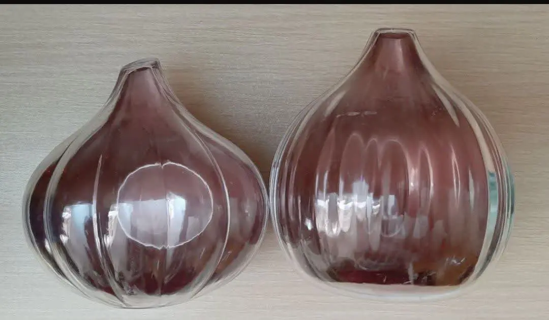 جا پیازی در ۲ طرح 
