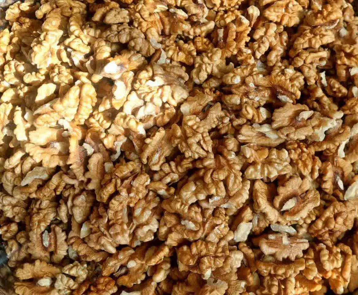 مغز گردو تازه و چرب
