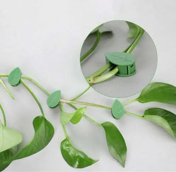 🌿تفاوت این محصول با دیگر مد...