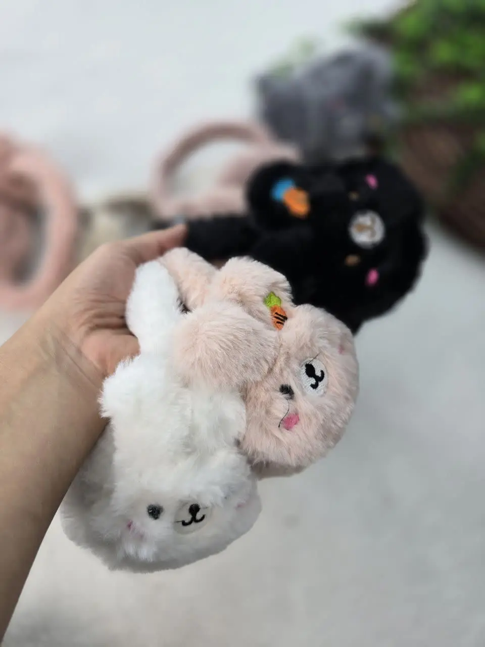 🍁نام: گوشگیر خرگوش