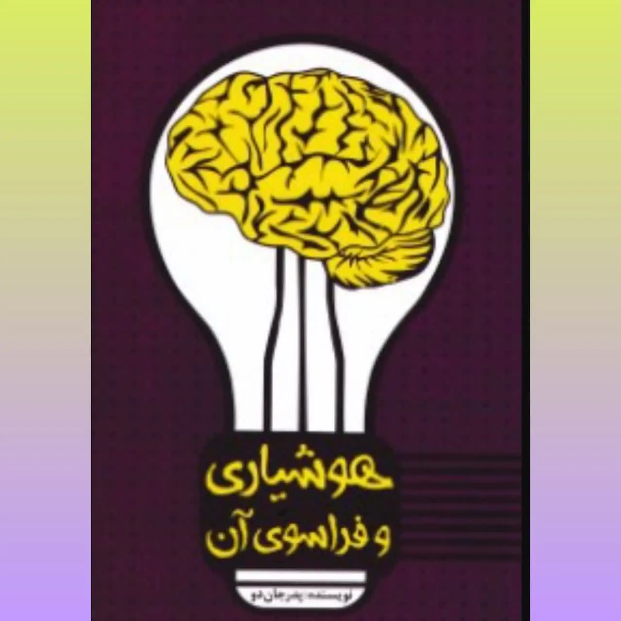 🧚‍♀ هوشیاری و فراسوی آن