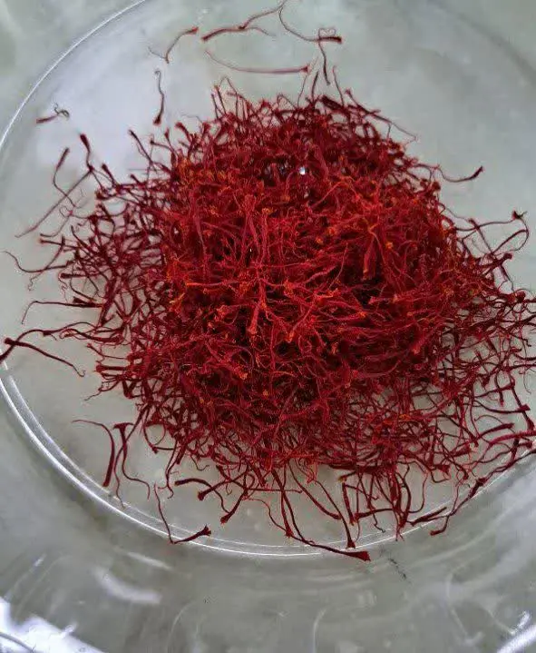 این زعفران نگین اصل اصل
