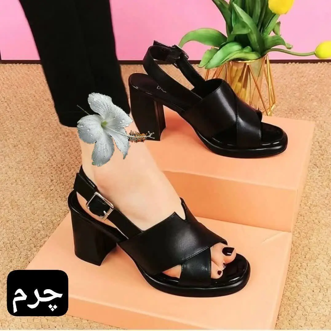 نام مدل: پانیذ 
