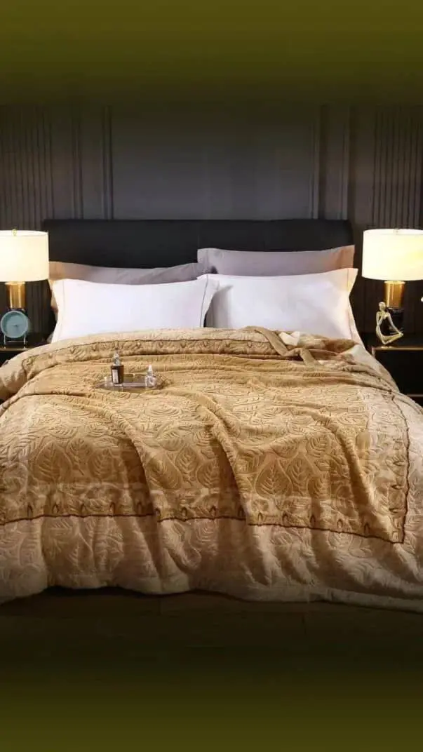 ▫️پتو ۲ نفره ابریشمی 
