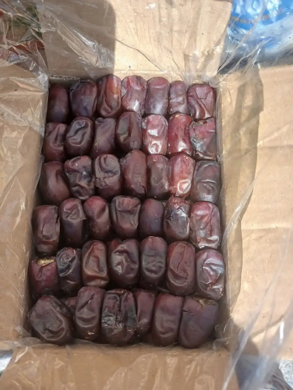 💫خرما مشکی💫 
